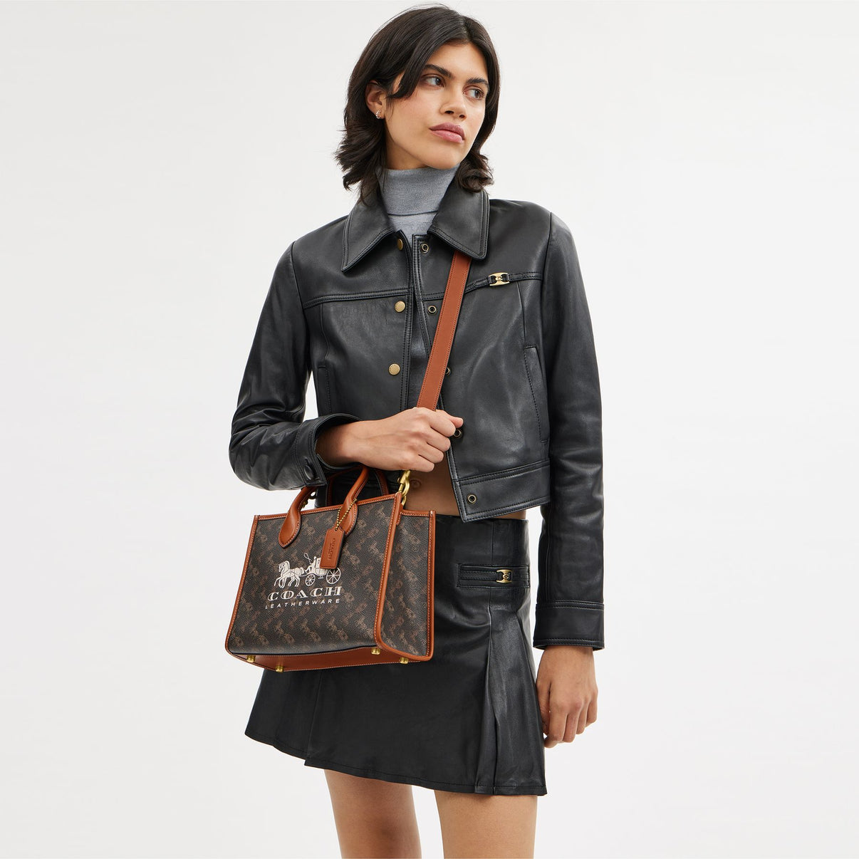 Ace Tote 26 With Horse