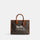 Ace Tote 26 With Horse
